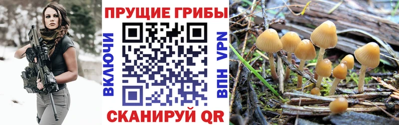 Купить Киренск Псилоцибиновые грибы ЛСД
