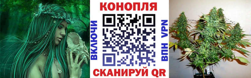 Купить где  Киренск  Канабис Amnesia 